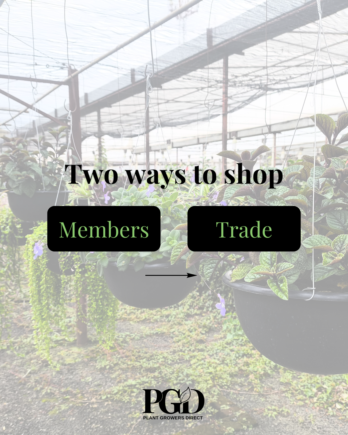 Plant Growers Direct